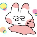 더코젠 이미지