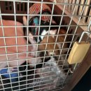 윤후동물병원 이미지