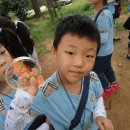 조하유치원 이미지