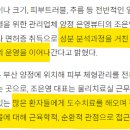 은영화장품 - 도봉구 도봉로181길 13 | 은영화장품