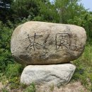 동루골막국수 이미지