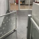 희망 애견 미용실 이미지