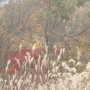 어느, 오후엔 이미지