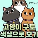 152. 색상으로 알아보는 고양이 구토! 이미지