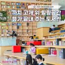 책드림도서관 | 부산 서구 첫 구립도서관, 서구아미드림도서관 다녀온 후기