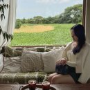 제주 서쪽 카페 추천 감성 가득한 줄라이앤어거스트 내돈내산