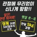장림 점핑 휘트니스