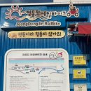 정동역길 | 강릉 정동진 여행 정동진레일바이크 탑승 후기(내돈내산)
