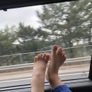 한동이젠 | 25.10_마검포힐링캠핑장 2구역 후기, 2-1 태안의 똥바람은 과연? 아이랑 태안캠핑