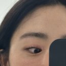 노약국 | 파주 운정역 아르 에서 노글루 속눈썹펌 자극 없이 예쁘게 컬 완성한 후기