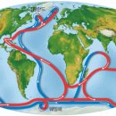 순환서로 이미지