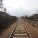 올레길 산림형 3코스 이미지