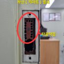 동래보건소 이미지