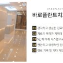 덴탈플란트 이미지