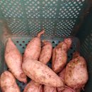 구례의료기 이미지