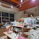 4072 | 인천도마뱀 검색하다가 직접 다녀온 솔직 방문 후기