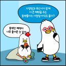 안경친구(감전점) 네이버블로그