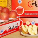 산내과수