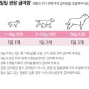 포포스앤