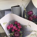 보위플라워즈 이미지