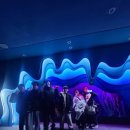 상안초교 | [울산 북구 천곡드릴짐 주짓수] 겨울추억여행 서울나들이🎡