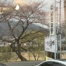 맑은물추어탕