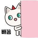 투썸플레이스 서초 양재점