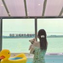 무안879 | 전남 무안 애견동반 오션뷰 숙소 오베르망 풀빌라, 대형 카페 무안879 후기
