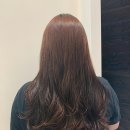 여니크 이미지