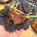 진원 | 청주 오창 소고기 무한리필 맛집 진원소우 후기