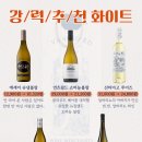 뱅가드와인머천트 이미지