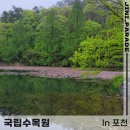 서울-삼동-삼동01 | 포천 가볼만한곳 비올때 분위기가 좋은 국립수목원