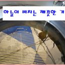 심봉사도너츠 이미지