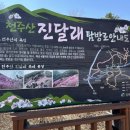 690 | 천주산 진달래 산행 후기 – 봄꽃과 함께한 690kcal의 행복한 하루