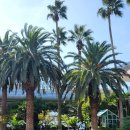 에이바호텔제주주식회사 | [제주 여행] 제주 동쪽 2박3일 여행 코스 모아보기