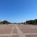 바다풍경 | 포항 여행지 | 호미곶 해맞이광장 당일 방문 후기 (춥지만 바다 풍경이 좋은 곳)
