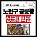노원-현장-1555 네이버블로그