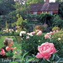 동화작가의 집 이미지