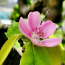 수채화로 그리는 세상 이미지