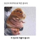 모아그린드라이방 | 행복 너 뭔데