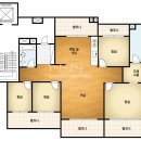 유림-1135 이미지