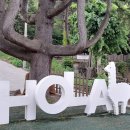 올라알파카 카페 이미지