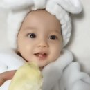 이빨 튼튼한 선배님들 스켈링 이미지