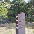 소수빵 이미지