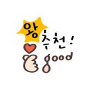 랩플렉스 - 10081 | 랩플렉스