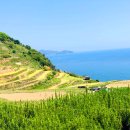 다랭이마을 이미지