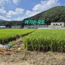 new행복한공인중개사사무소 이미지