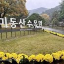 청주 가볼만한곳 당일치기 여행코스 미동산수목원 스테이오힐 메밀꽃밭 이미지