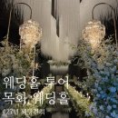 목화물나이트클럽 주식회사 | (웨딩일기 3탄💍) 부산 [목화 웨딩홀] 화이트, 블랙홀 투어 및 2027년 견적공유(대관료, 스드메, 식대까지)