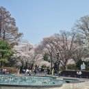 대공원역 1번 출구 뒤 이미지